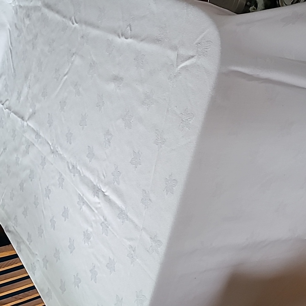 White Tablecloth, $4 ,if bundled